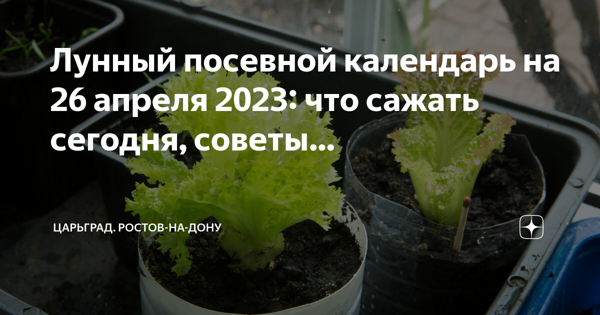 Календарь огородника на апрель 2023