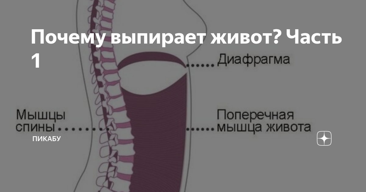 Что то выпирает под ребрами. Ассиметричный низ живота. Что то выпирает под ребрами. Что то выпирает под ребрами. Торчит ребро с правой стороны у ребенка.