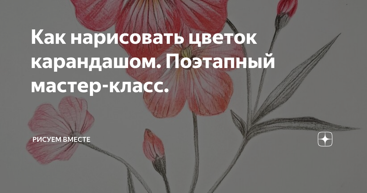 Таблички для растений своими руками, и Как подписать, чтобы не выгорело и не стерлось