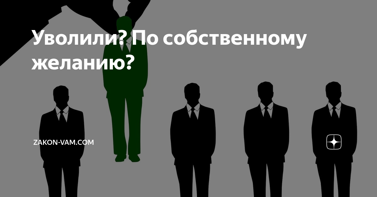 Вам ком. Депутат и министр отличие. Кто и как может стать министром, депутатом.