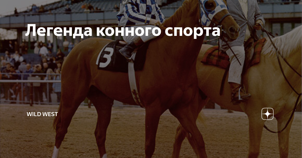 Легенда о кон. Легенда о лошади. лошади легенды конного спорта. конный спорт легенды люди. мифы о конном спорте.