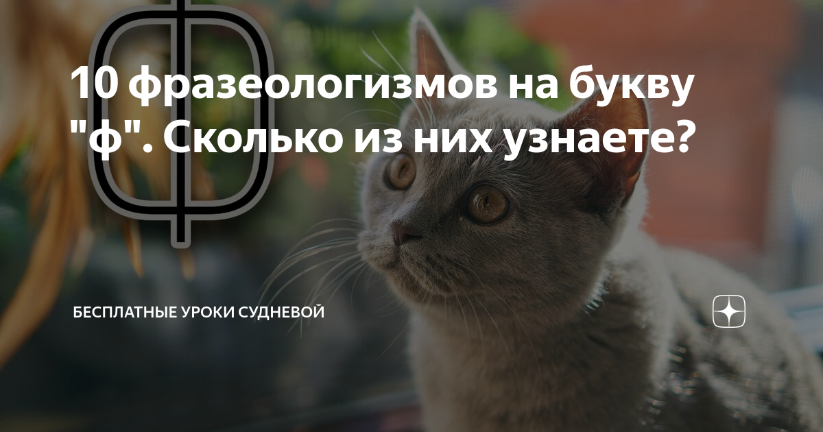 10 фразеологизмов на букву "ф". Сколько из них узнаете? | Суднева ...