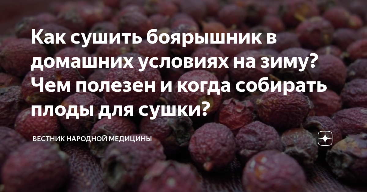 Как правильно сушить боярышник и зачем это делать?