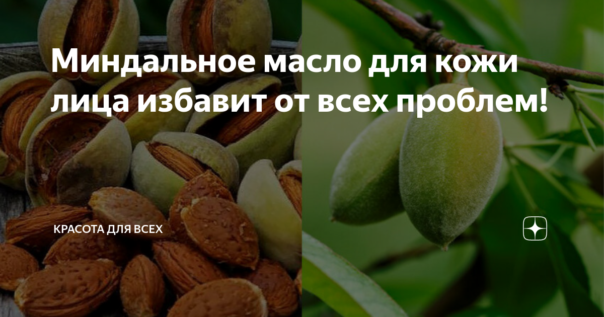 Миндальное масло для кожи лица избавит от всех проблем! | Красота для ...