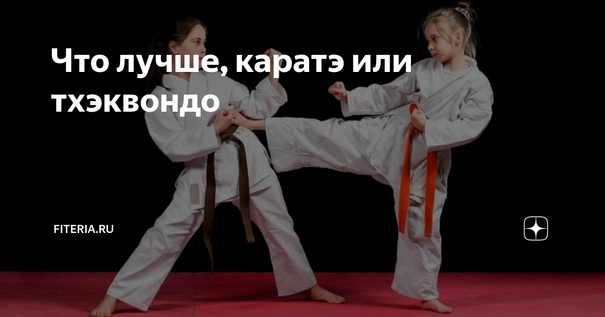 Что лучше, каратэ или тхэквондо | Начни с тренировки | Дзен