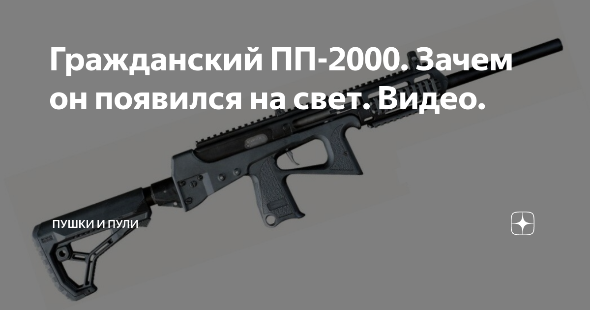 Ма-пп-91 кедр. Гражданский пп. Гражданский пп. Пп 2000 карабин. Пп 2000 охотничий.