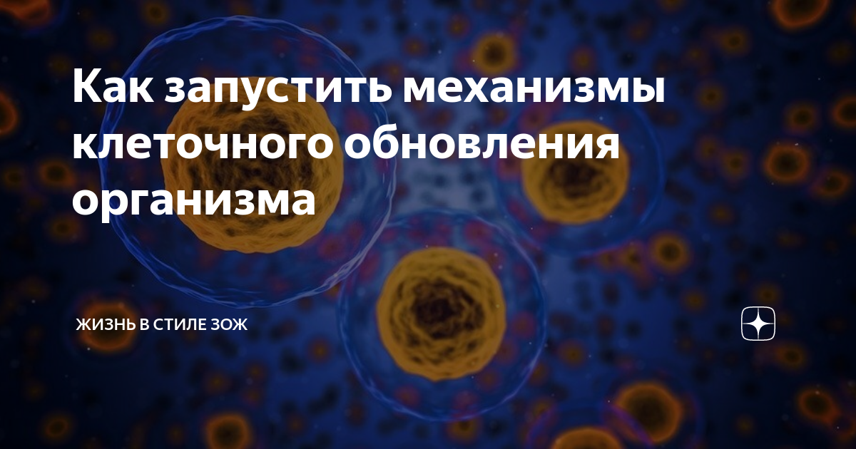 Сколько клеток в организме