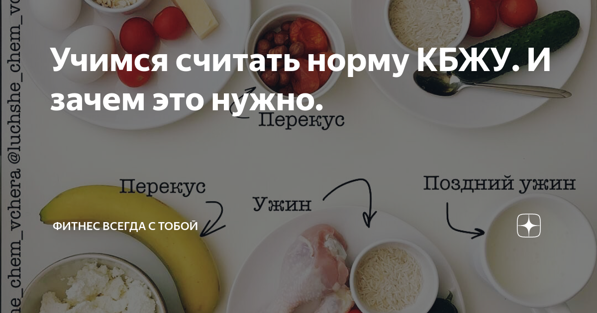 БЖУ для новичка — как научиться считать калории и зачем это делать