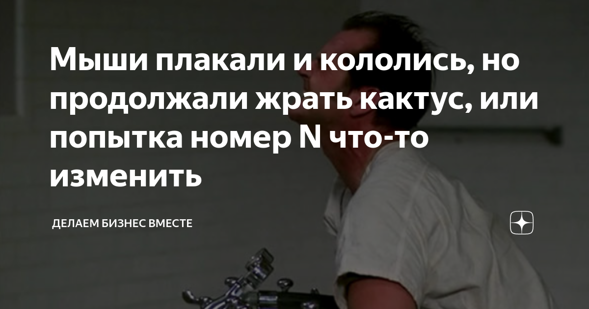 Ежики плакали кололись но продолжали есть кактус картинки
