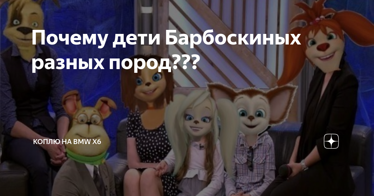Барбоскины фото. Почему барбоскины всех разных пород. Почему барбоскины всех разных пород. Барбоскины семья. Почему барбоскины всех разных пород.