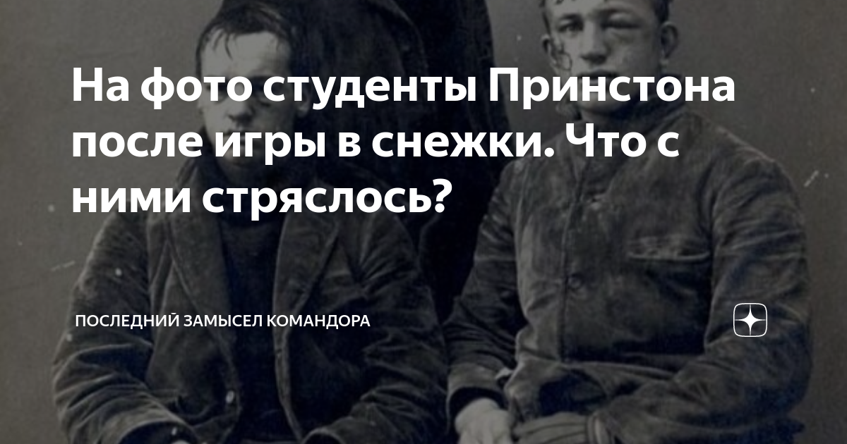 последний замысел командора