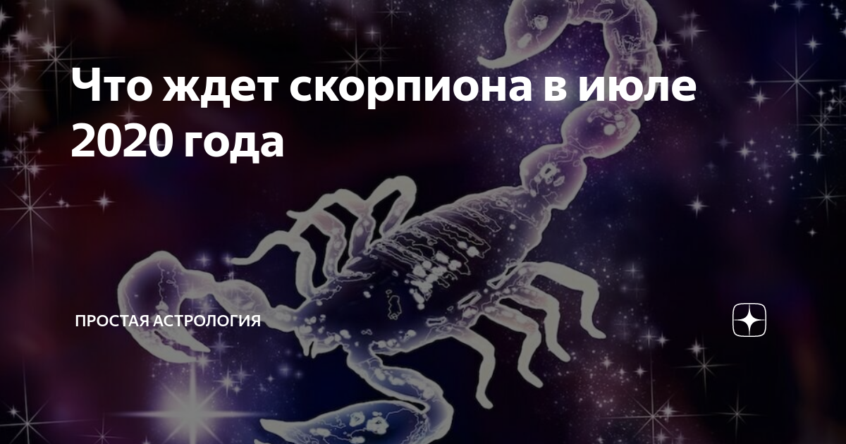 Год скорпиона. Лучшие профессии для скорпиона. Скорпион девиз по жизни. Мужчина Скорпион в постели.