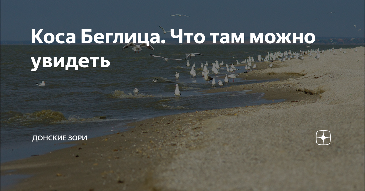 Погода в беглице на 10 дней. Беглицкая коса Азовское море. Беглицкая коса Таганрог. Заповедник Беглицкая коса. Беглица фото.