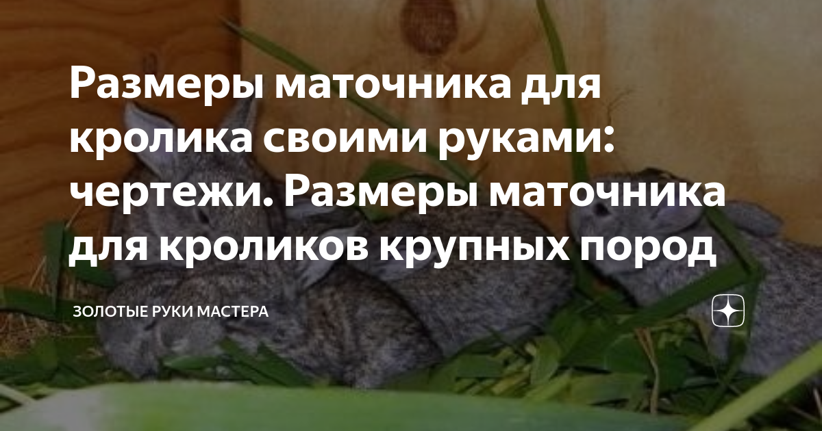 Устройство маточника для кроликов и как сделать своими руками