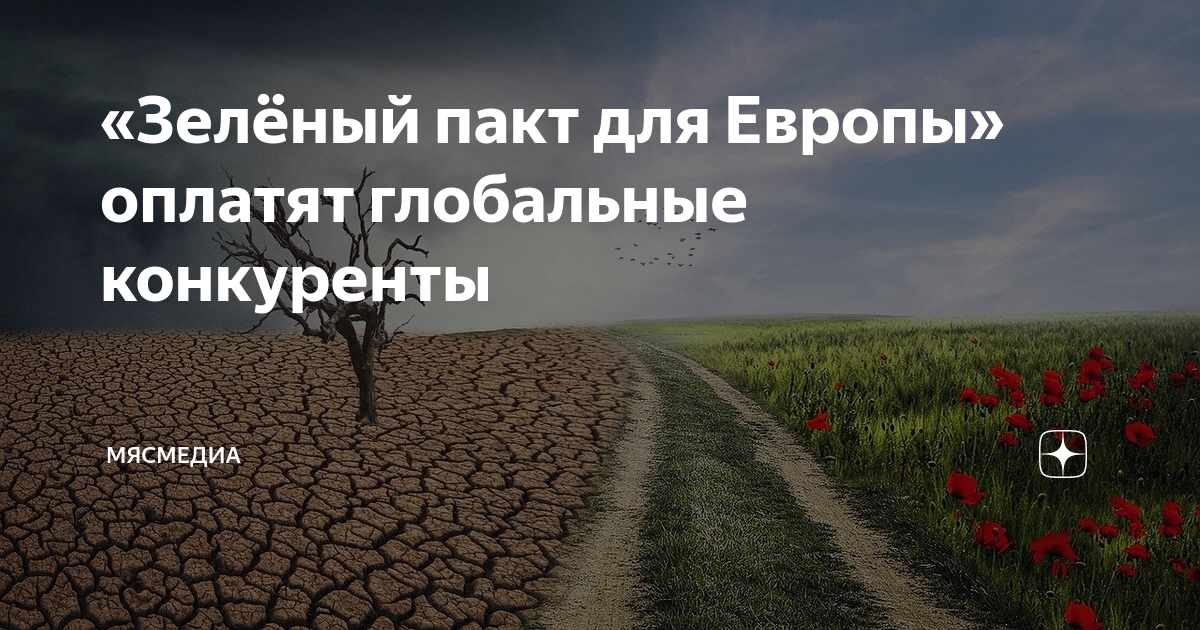 зеленый пакт. зеленый флаг со звездочками. зеленая политика ес. зеленая программа в европе. зеленый пакт.