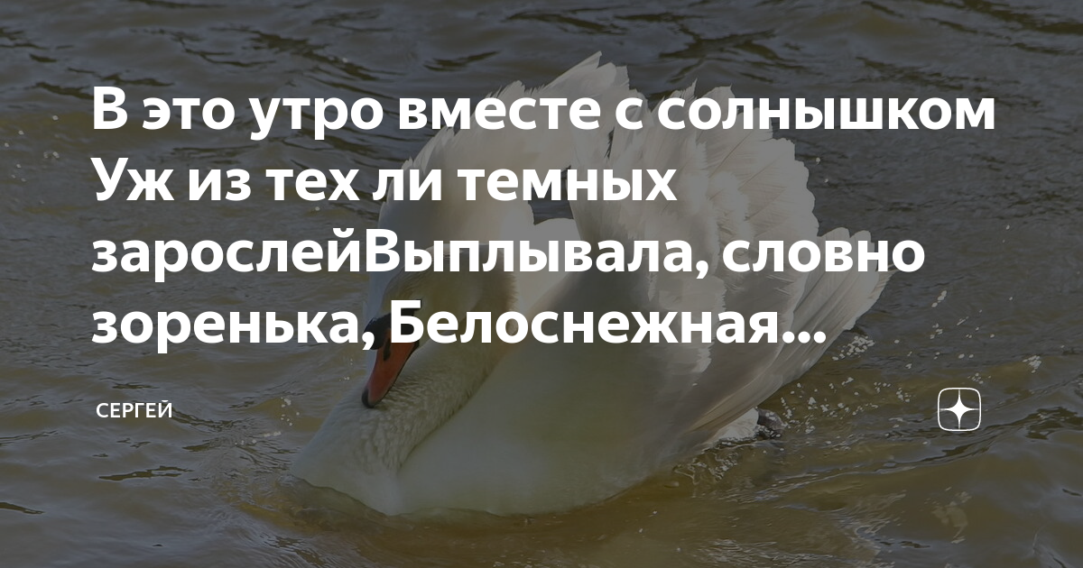 Вместе до утра будем песня