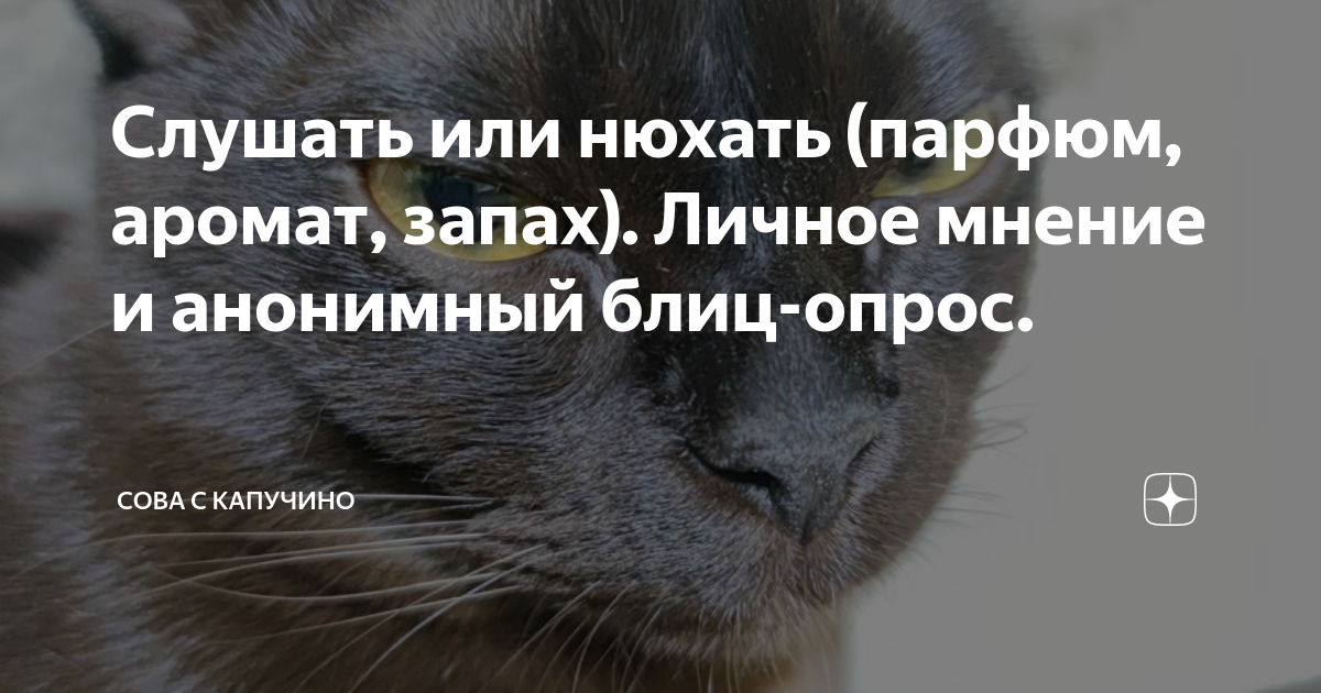 Как правильно говорить слышу запах или. Послушать аромат или понюхать. Духи СЛУШАЮТ или нюхают. Слушать или нюхать аромат. Почему духи СЛУШАЮТ