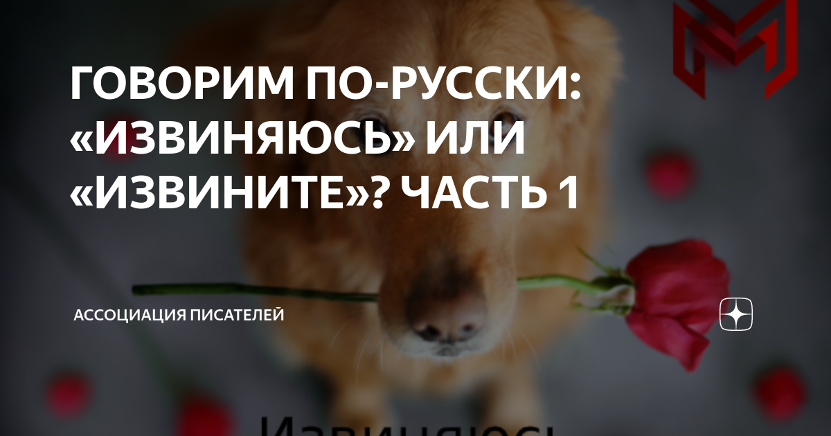 как правильно пишется слово извиняюсь