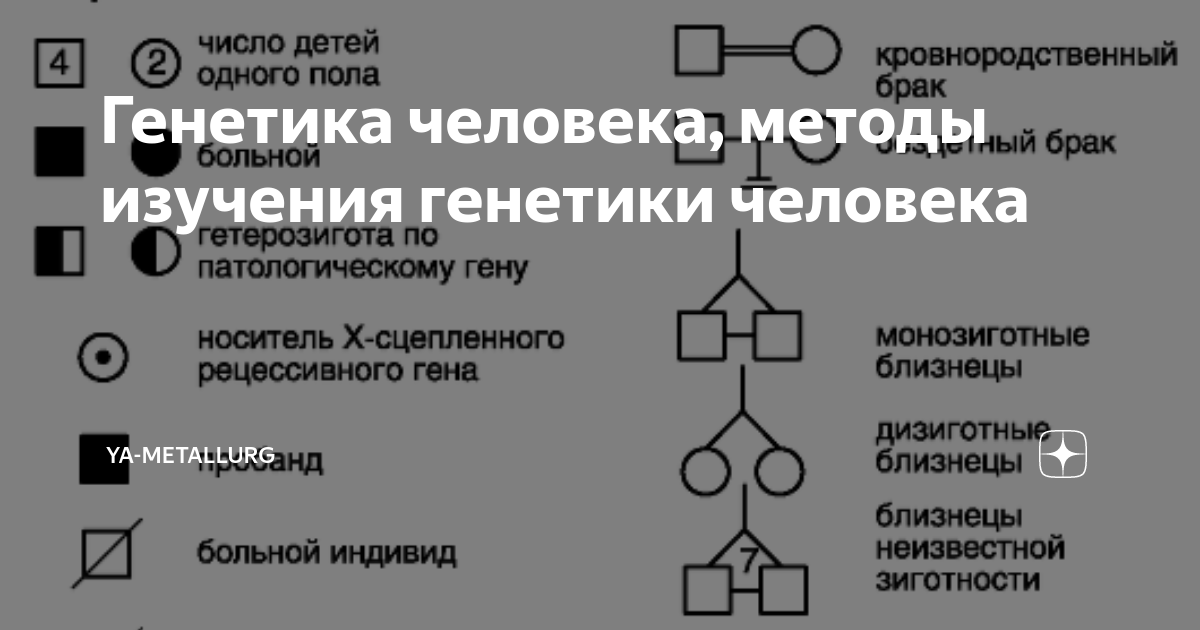 Методы исследования в биологии генетика