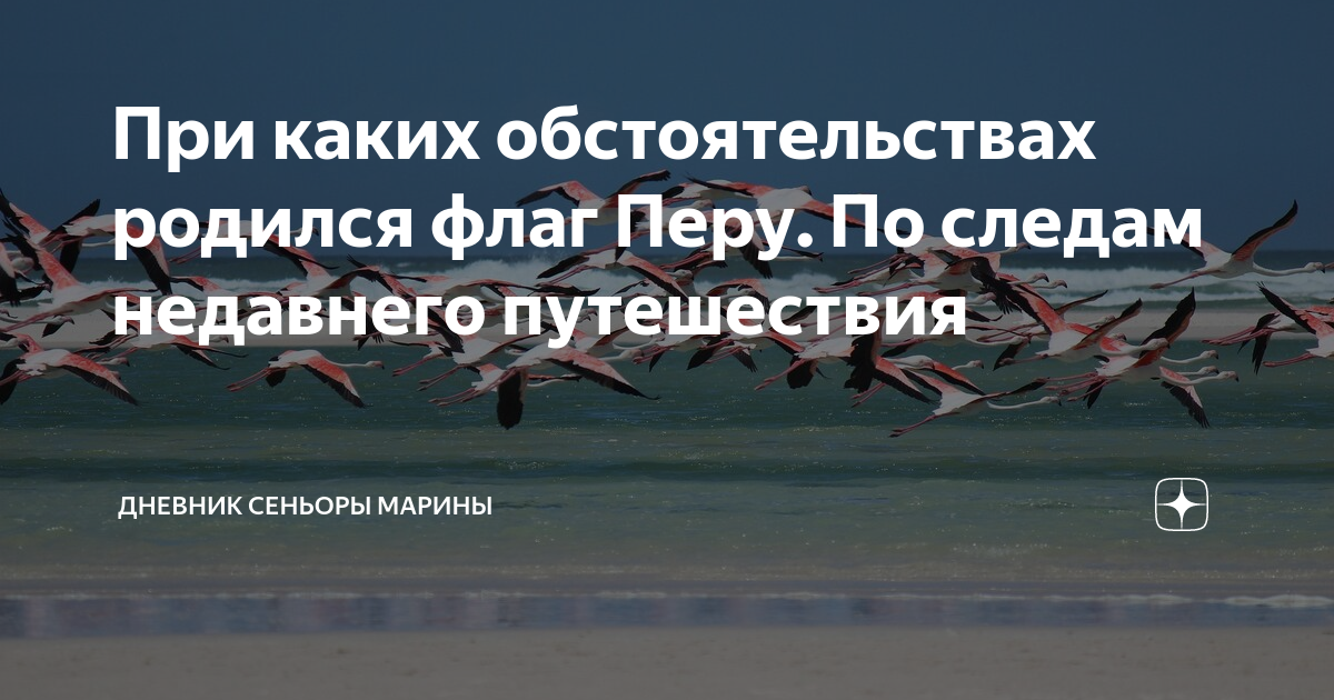 Дневник сеньоры марии дзен. Дневник сеньоры марии дзен