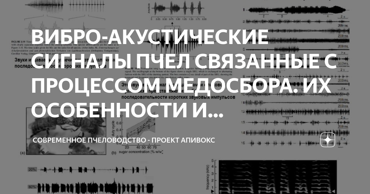 Гудков пчела. Вольфганг Вайнгарт. Вольфганг Вайнгарт плакаты. Вольфганг Вайнгарт постмодернизм. Панк типографика