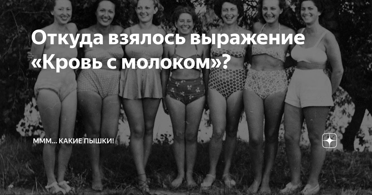 Пышечка дзен. Дамы кровь с молоком. Что значит выражение кровь с молоком.