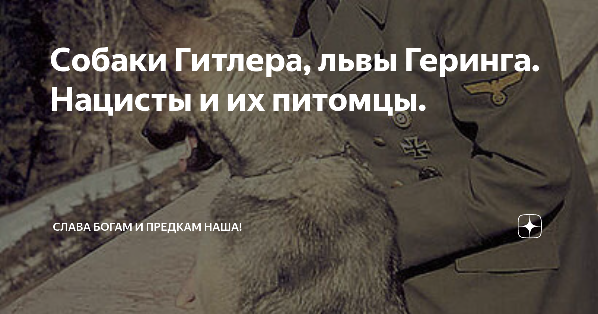 чем больше я узнаю людей тем больше я люблю собак гитлер
