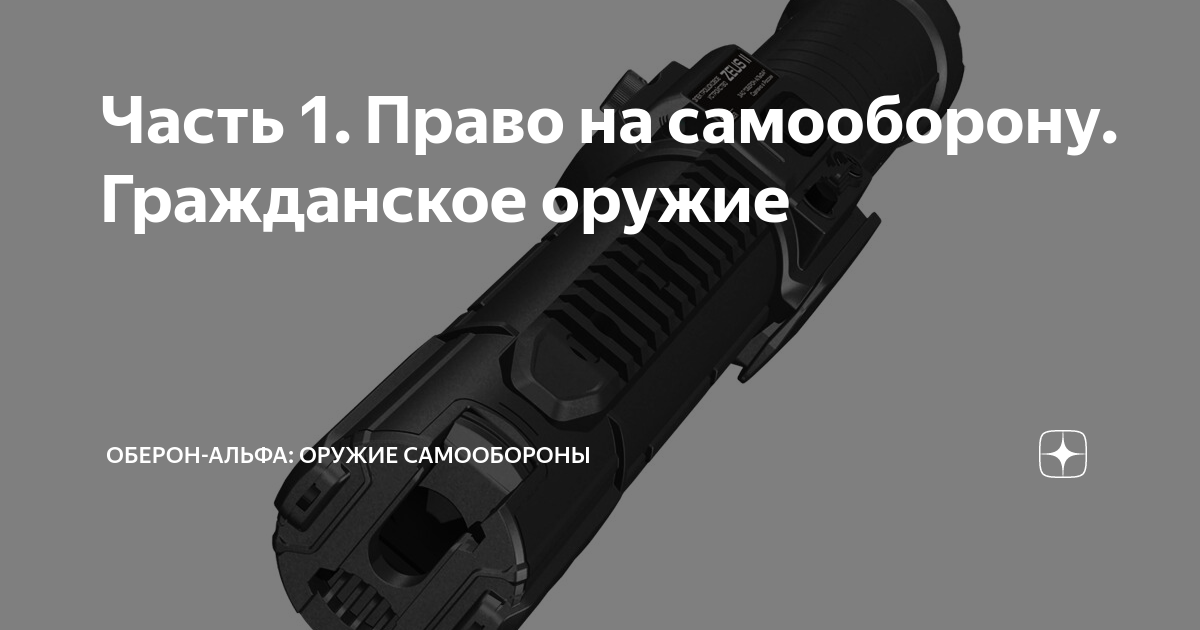 Часть 1. Право на самооборону. Гражданское оружие | ОБЕРОН-АЛЬФА ...