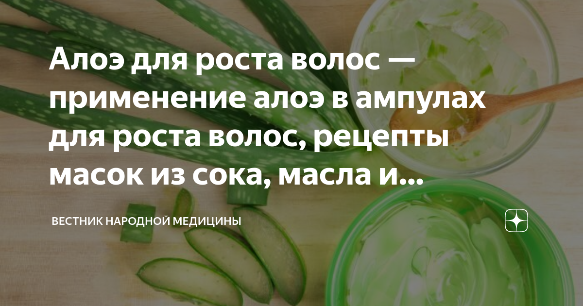 Алоэ для волос в домашних условиях. Репейное масло и сок алоэ для волос.