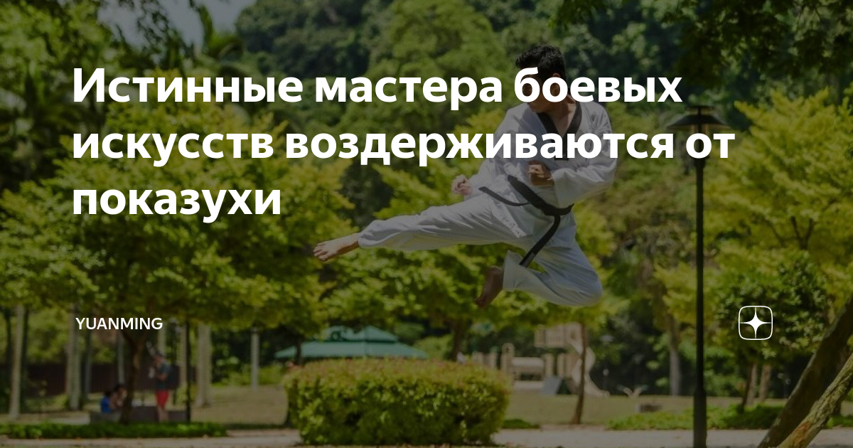 Истинный мастер. Знак российского Союза боевых искусств мастер боевых искусств. Подлинный мастер это. Что говорят мастера боевых искусств своим ученикам.