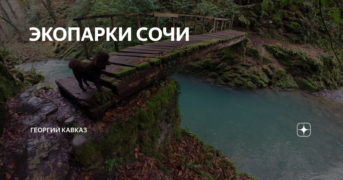 Георгий кавказ нива