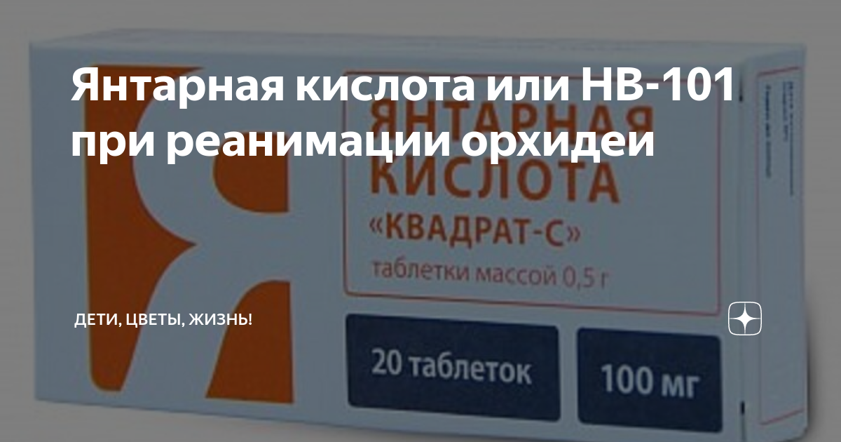Янтарная кислота или НВ-101 при реанимации орхидеи | Мои орхидеи | Дзен