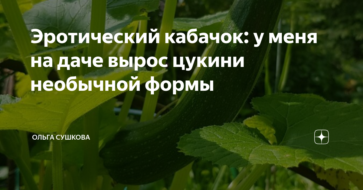 Пузатый кабачок отлежал себе бочок песня слушать