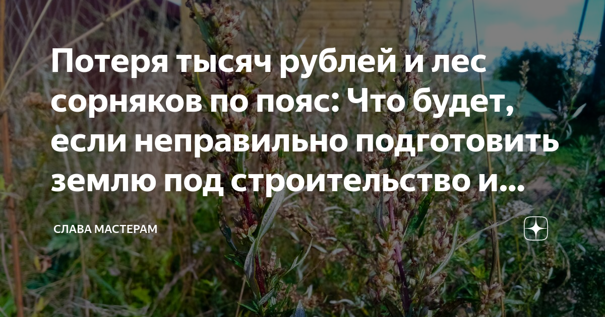 Как очистить участок от травы и сорняков под строительство дома