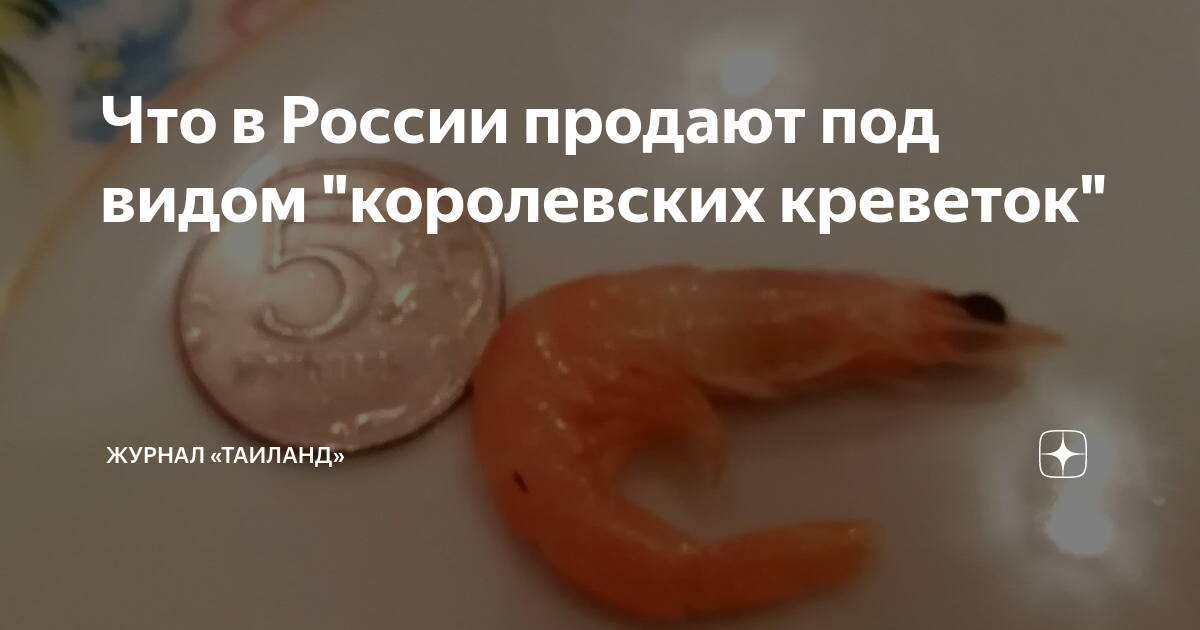 может ли быть аллергия на креветки