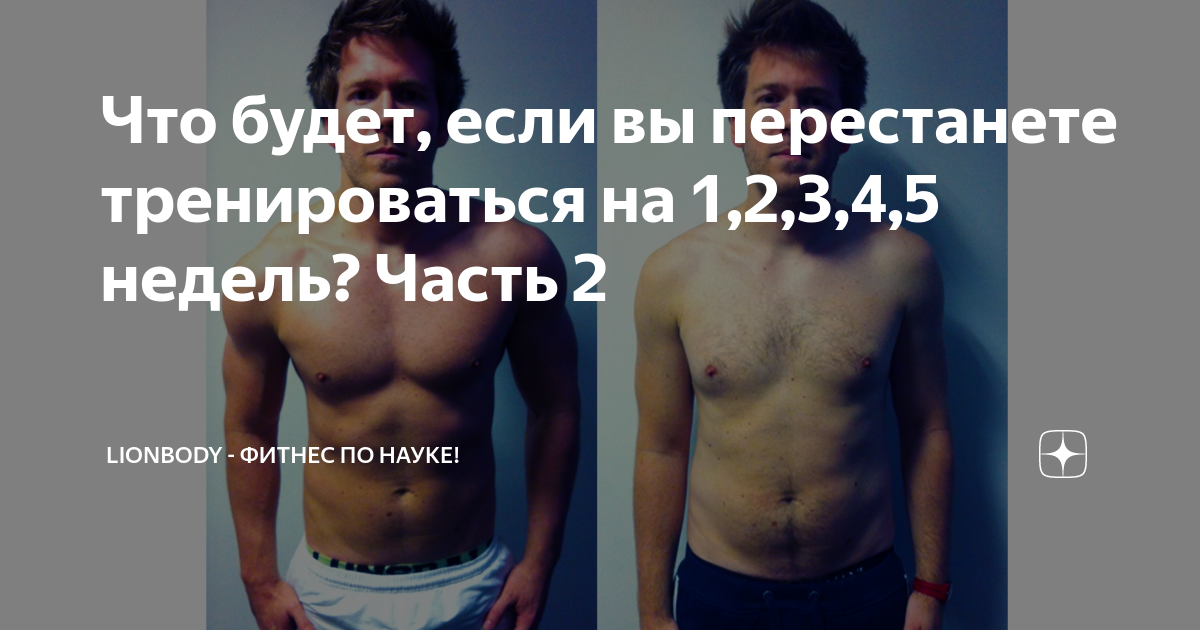 как перестать кушать много и похудеть. что будет если перестать работать. что будет с телом если перестать заниматься спортом. как перестать жрать и начать. они перестают работать когда слетает цепь.