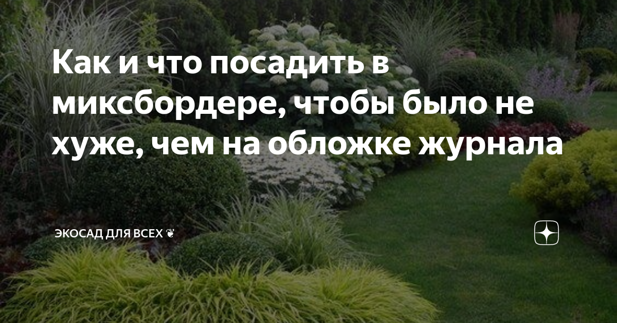 Как и что посадить в миксбордере, чтобы было не хуже, чем на обложке ...