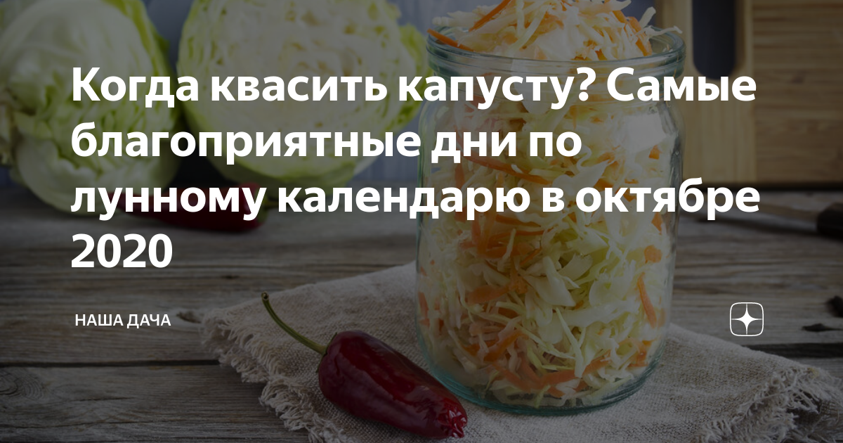 Когда можно квасить капусту. День квашения капусты. Календарь квашения капусты. Благоприятные дни для квашения капусты. Благоприятные дни для засолки капусты на зиму.