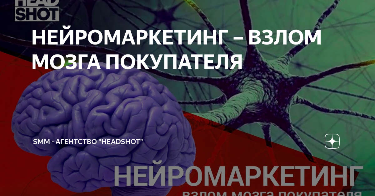 Презентация по нейромаркетингу
