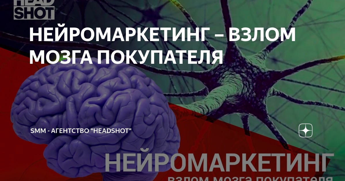 Взломанный brain. Мозг покупателя. Нейромаркетинг. Нейромаркетинг исследования.