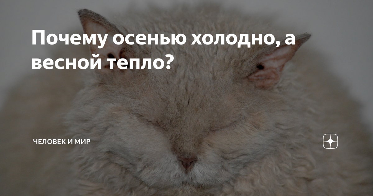 форум почему холодно. почему так холодно почему так рано. а что так холодно картинки. форум почему холодно. приколы про холод.