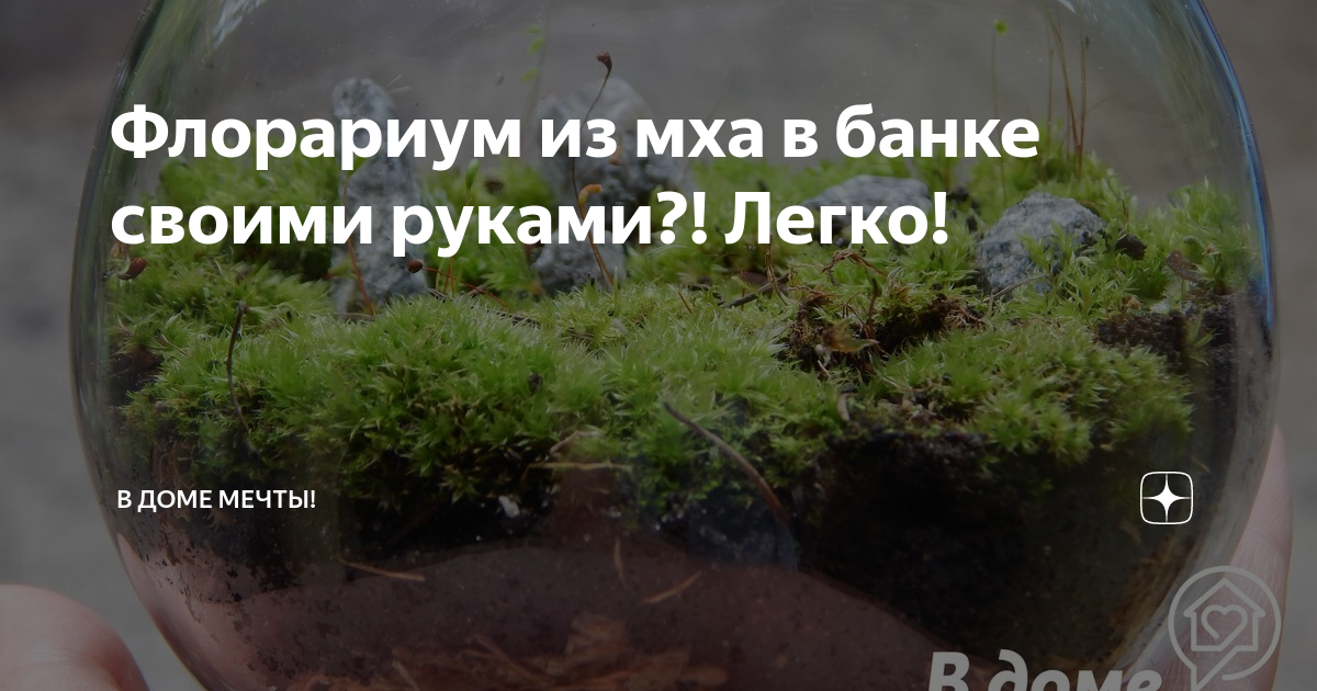 Как стабилизировать мох в домашних условиях: правила стабилизации и ухода своими руками | sushi-edut.ru