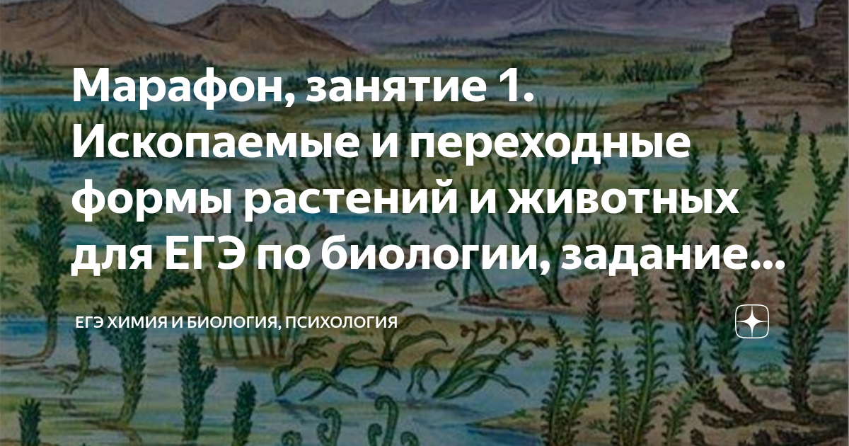 На рисунке изображен медуллоза ноэ семенной папоротник