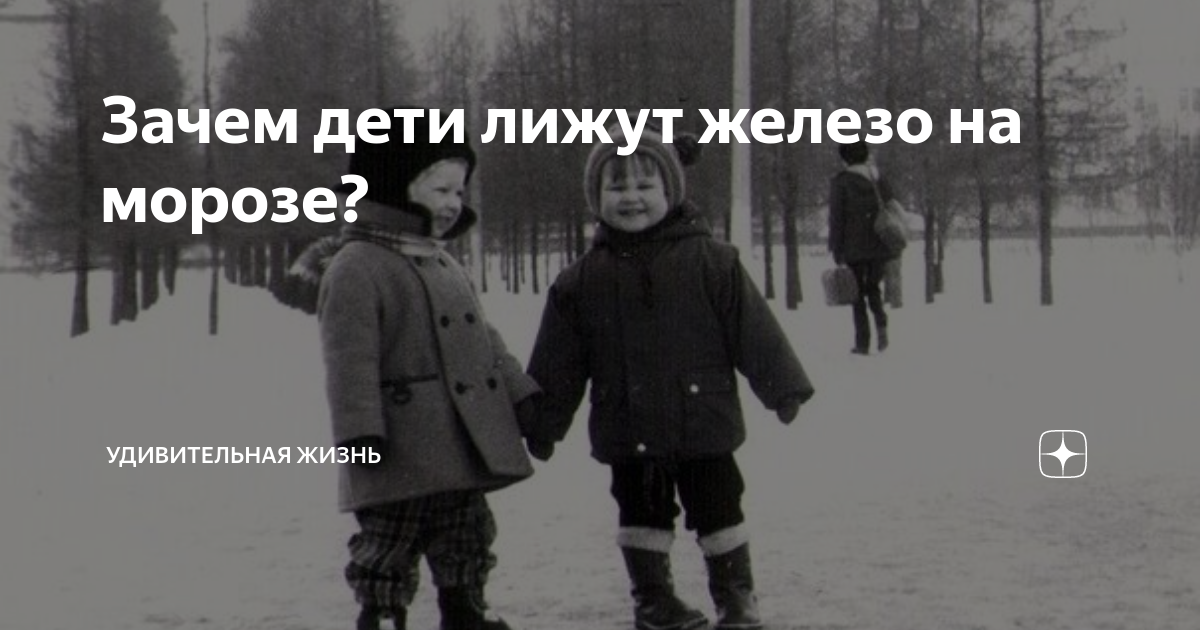 Малыш оближи мою волыну. Малыш оближи мою волыну