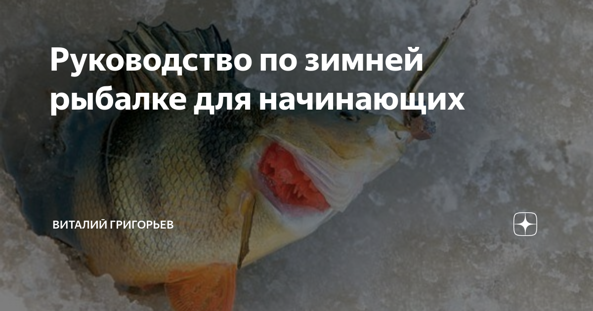 Руководство по зимней рыбалке для начинающих | Виталий Григорьев | Дзен