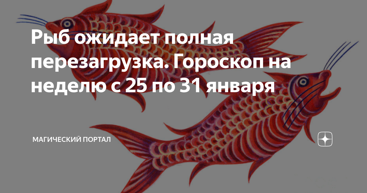 Рыбы 2024 год июнь. Аквариумные рыбки для начинающих. Безопасность контейнеров. Рыба ожидает. Какой объем нужен Барбус для аквариума.