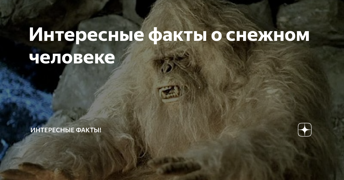 Интересные факты о снежном человеке | Чрезвычайные новости | Дзен