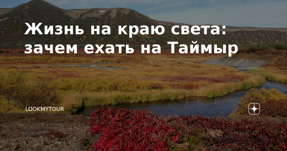Жизнь на краю света: зачем ехать на Таймыр | LookMyTour | Дзен