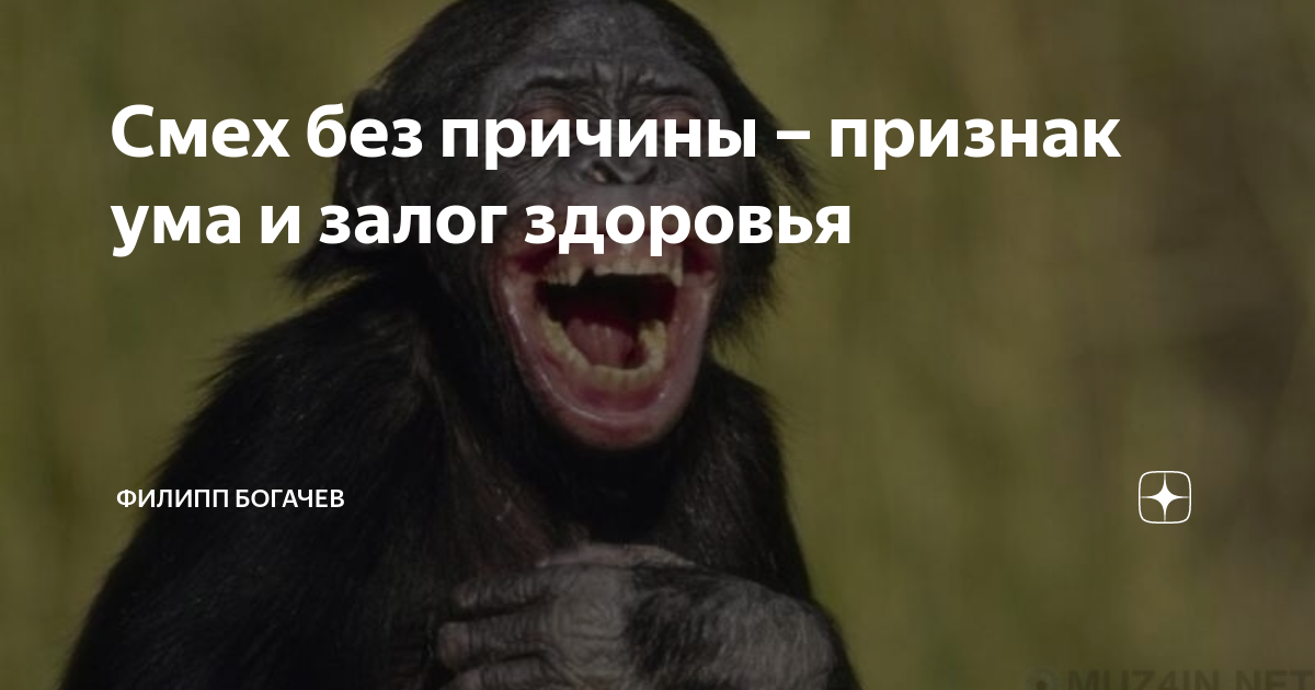 Смеюсь без причины. Смех без причины. Начинаю смеяться без причины. Смех без причины призрак. Анекдоты про смех без причины.