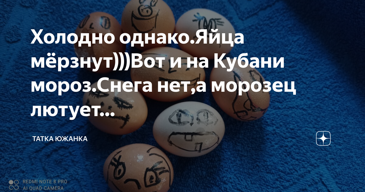 Яйцо замерзает при температуре. Яйцо замерзает при температуре
